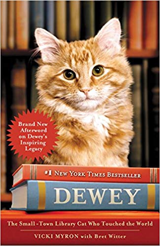 Dewey A Small Town Library Cat Who Touched the World