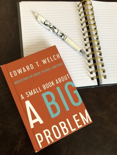 A Small Book About A Big Problem by Edward Welch