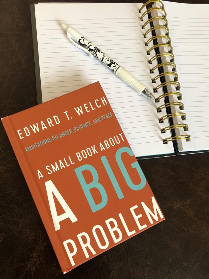 A Small Book About A Big Problem by Edward Welch