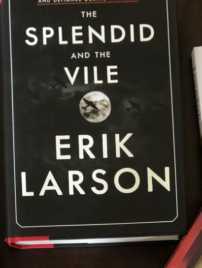 The Splendid and the Vile book