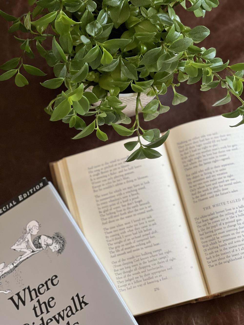 Poetry books and plants