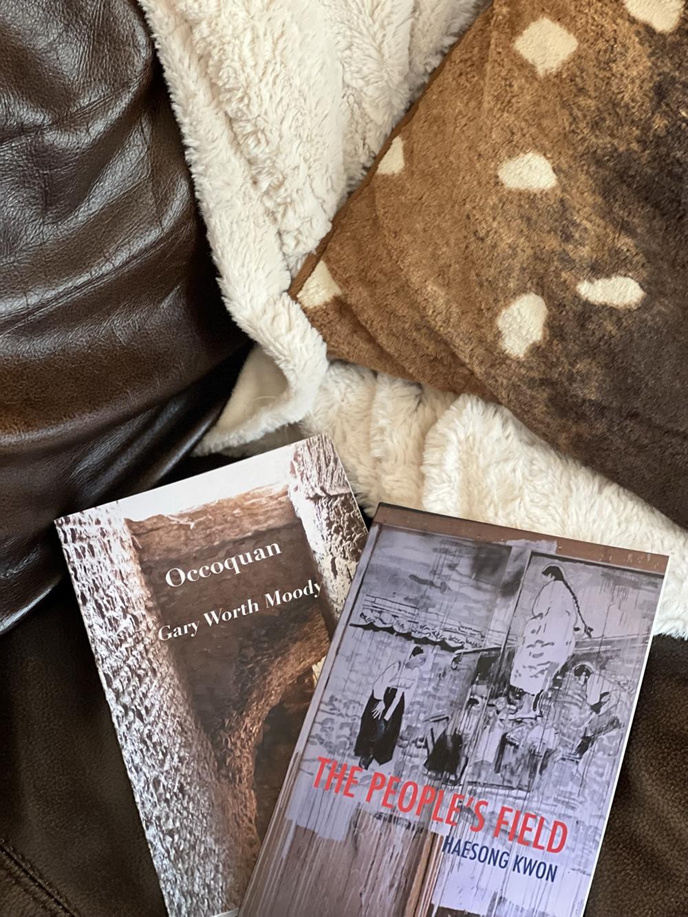 two poetry books with pillow and blanket