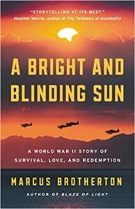 A Bright and Blinding Sun book