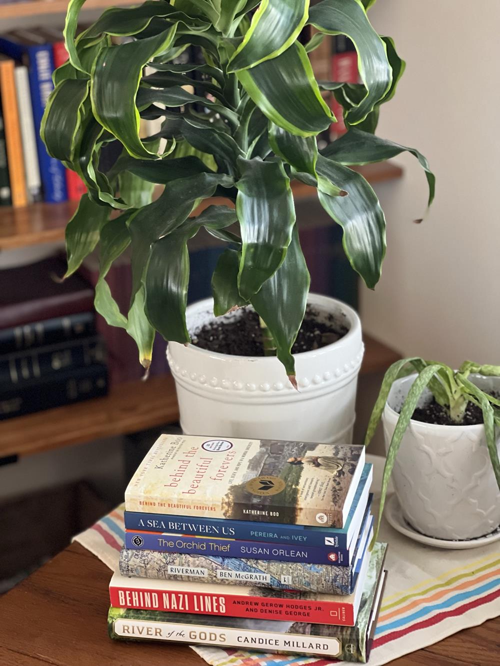 stack of books on a table with two plants in the background