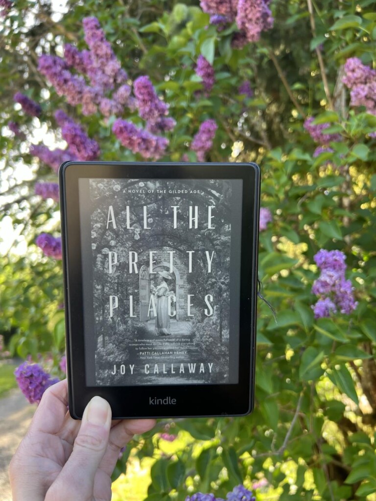 All the Pretty Places book with flowers in background