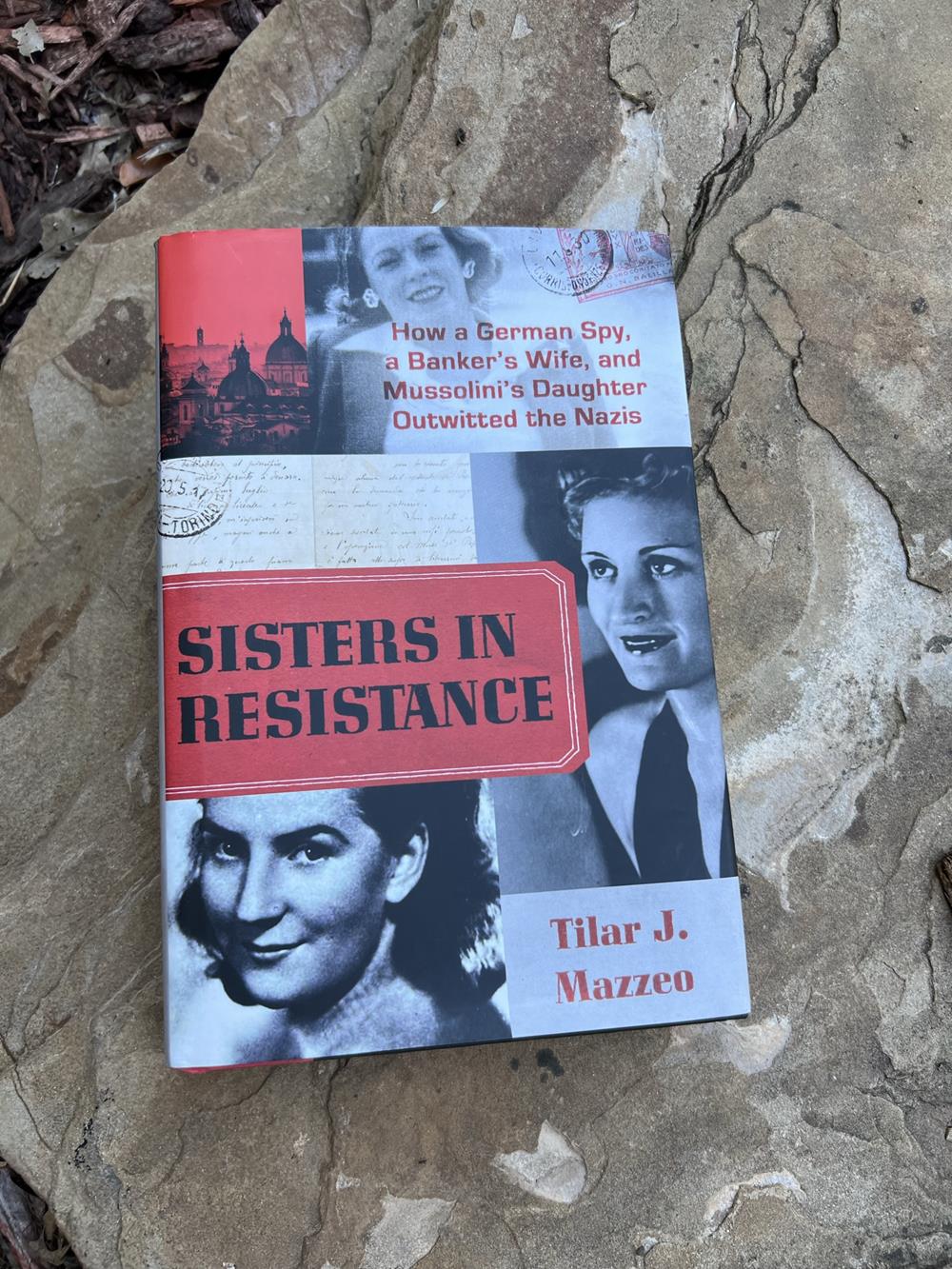 Sisters In Resistance book review