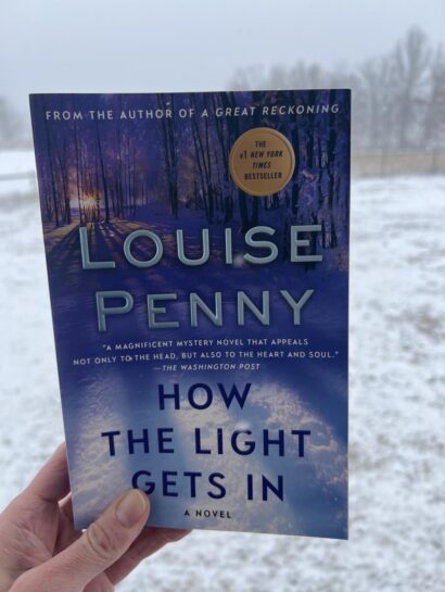 How the Light Gets In book