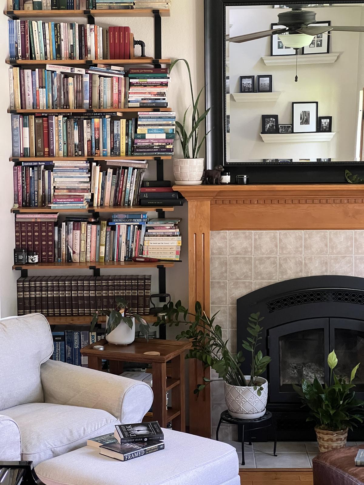 books in a living room on a bookshelf