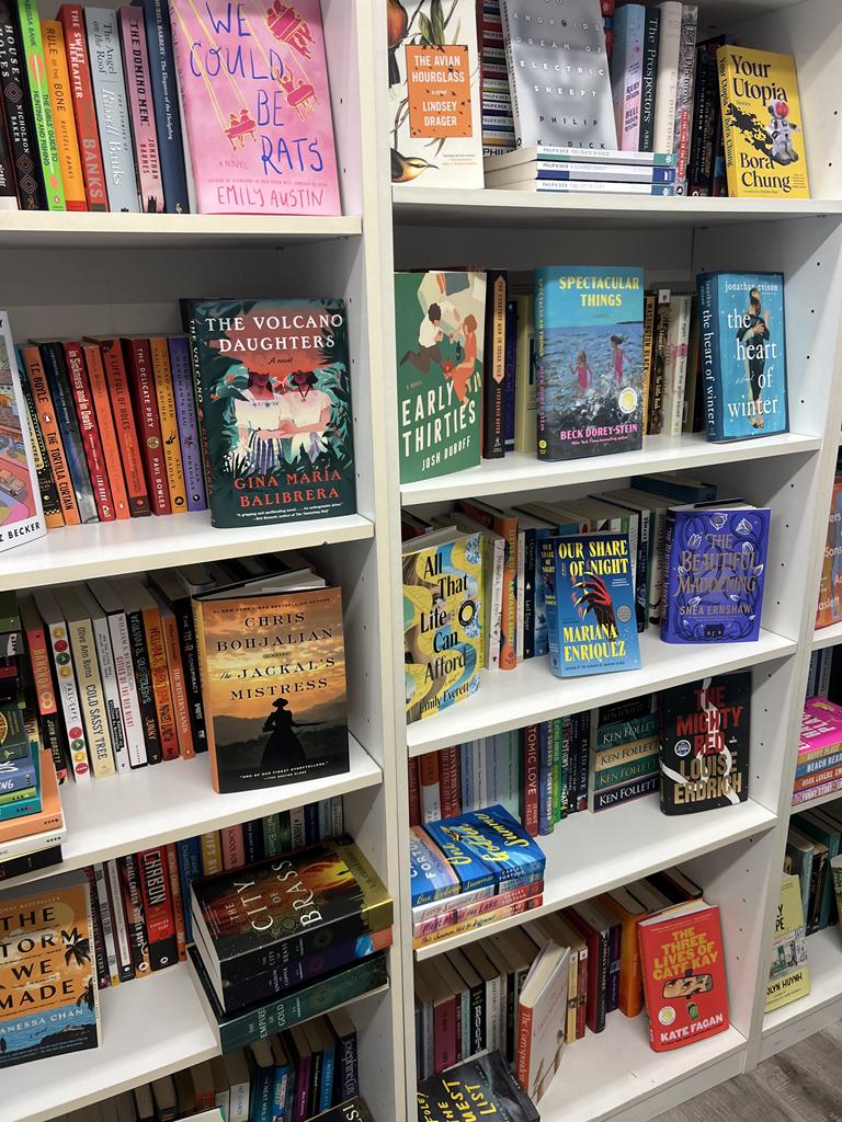 bookshelves at Pegasus books