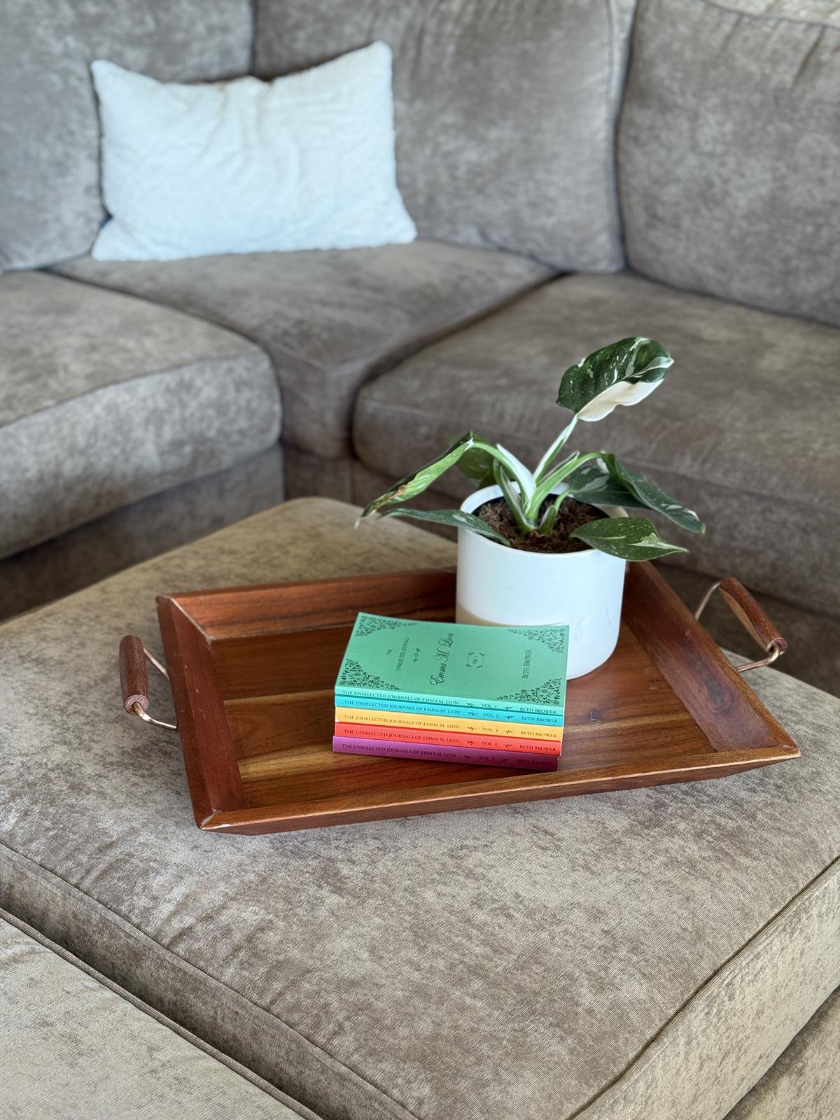 The Unselected Journals of Emma M. Lion by Beth Brower