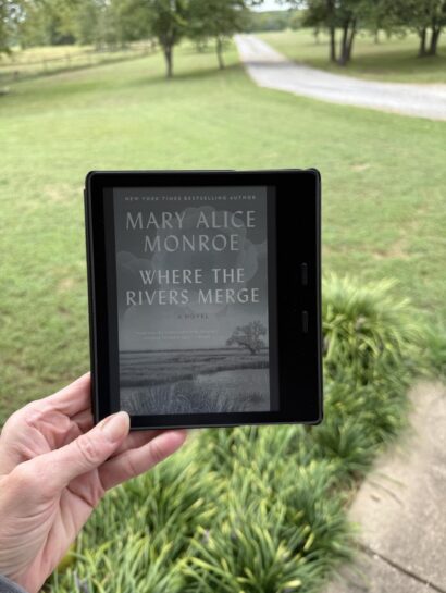 Where the Rivers Merge book