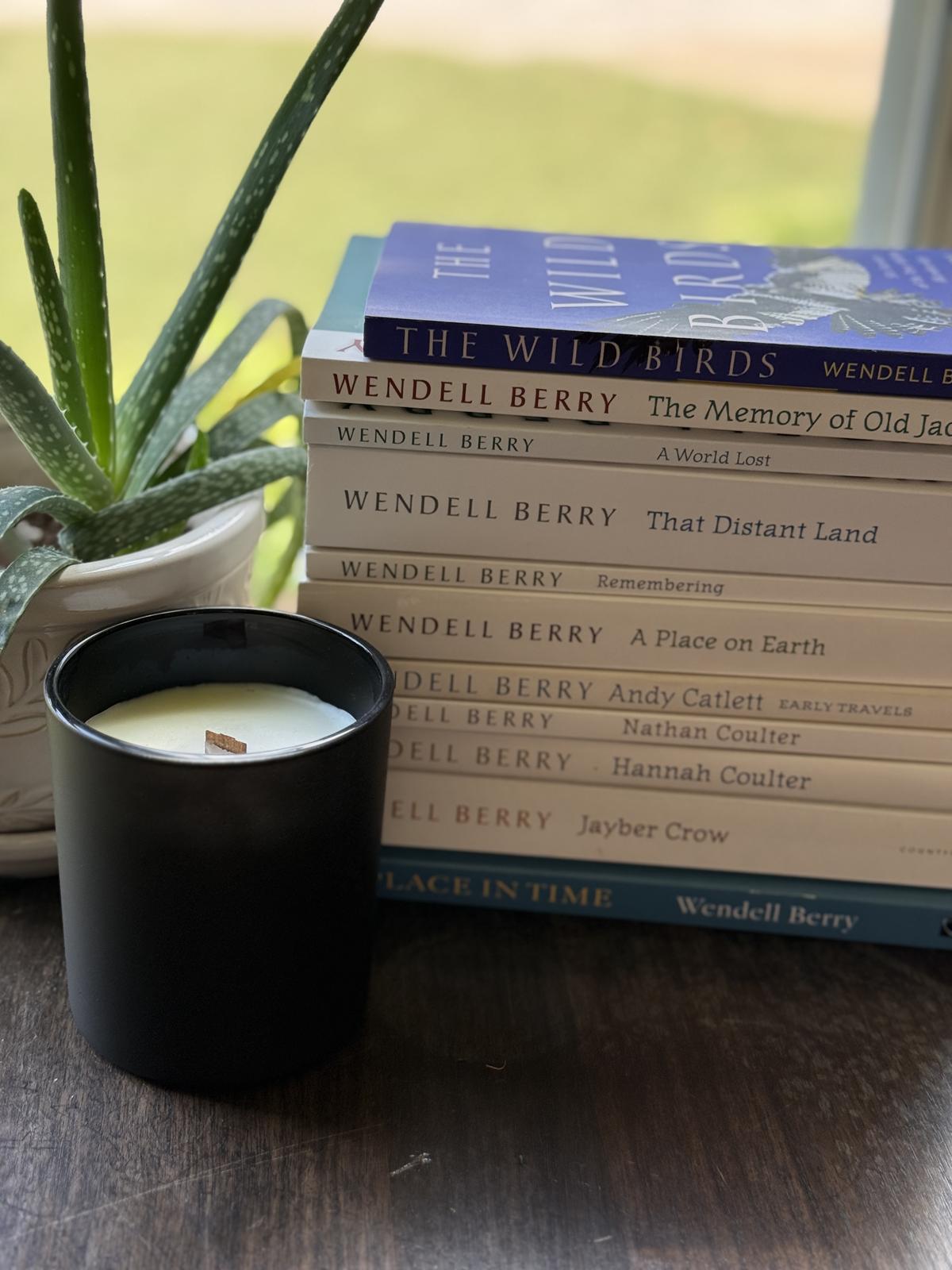 Stack of Wendell Berry Port William books