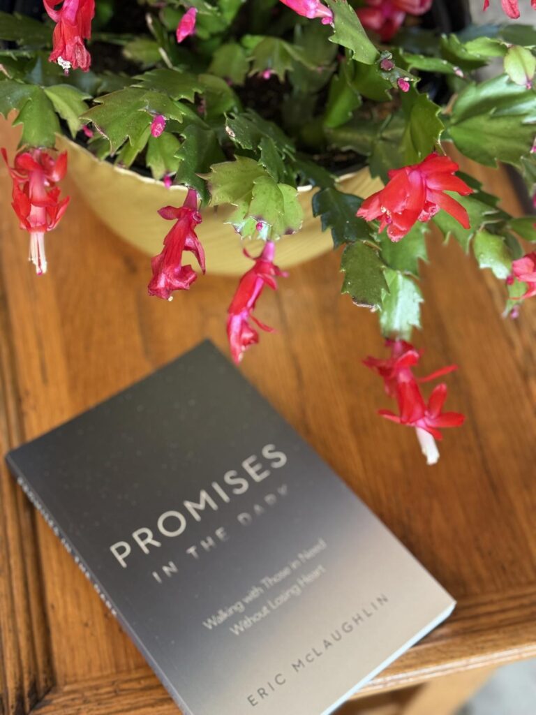 Promises In the Dark by Eric McLaughlin