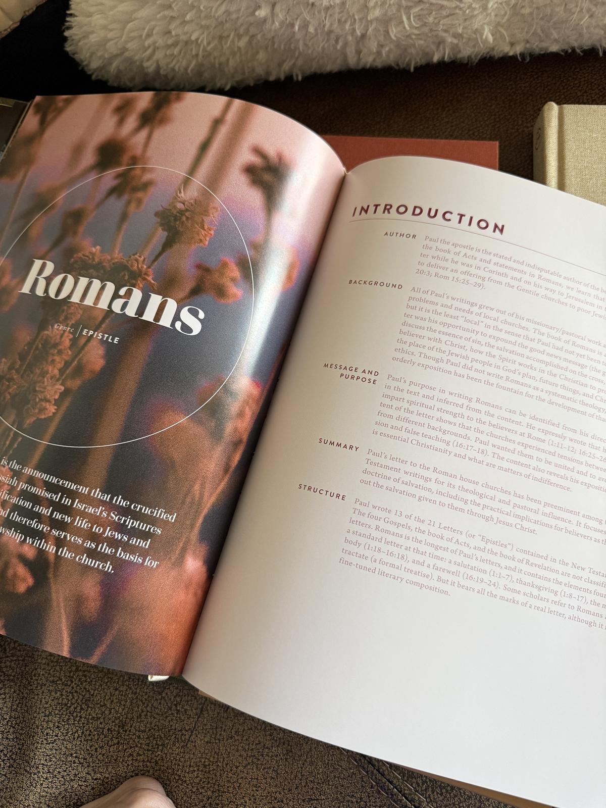 New Testament Handbook Romans page