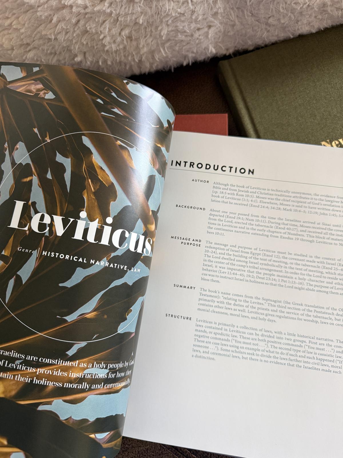 Old Testament handbook Leviticus page