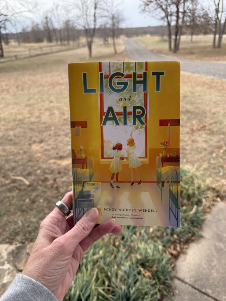 Light and Air book review