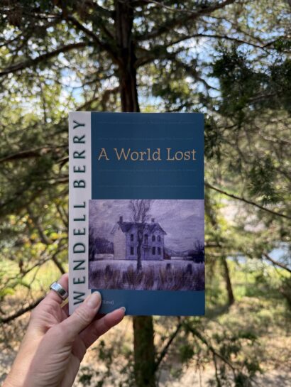A World Lost by Wendell Berry book review