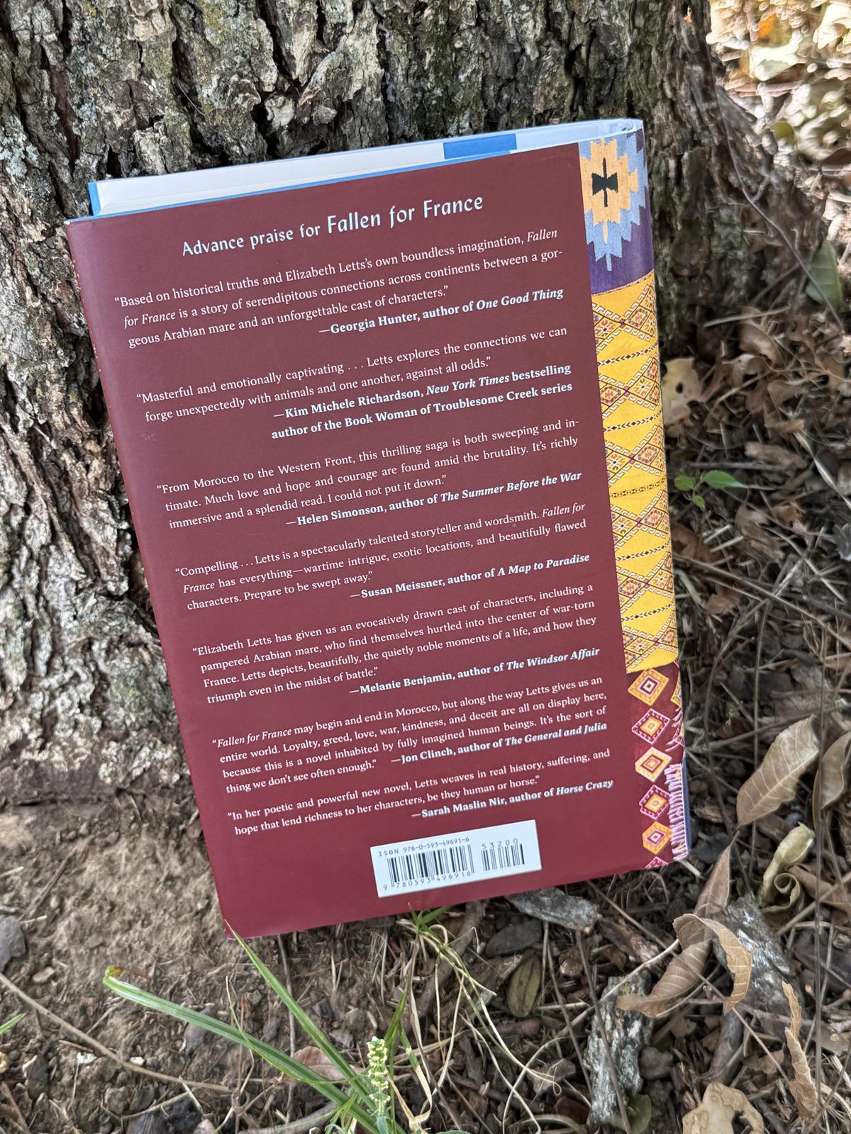 Fallen For France book back cover