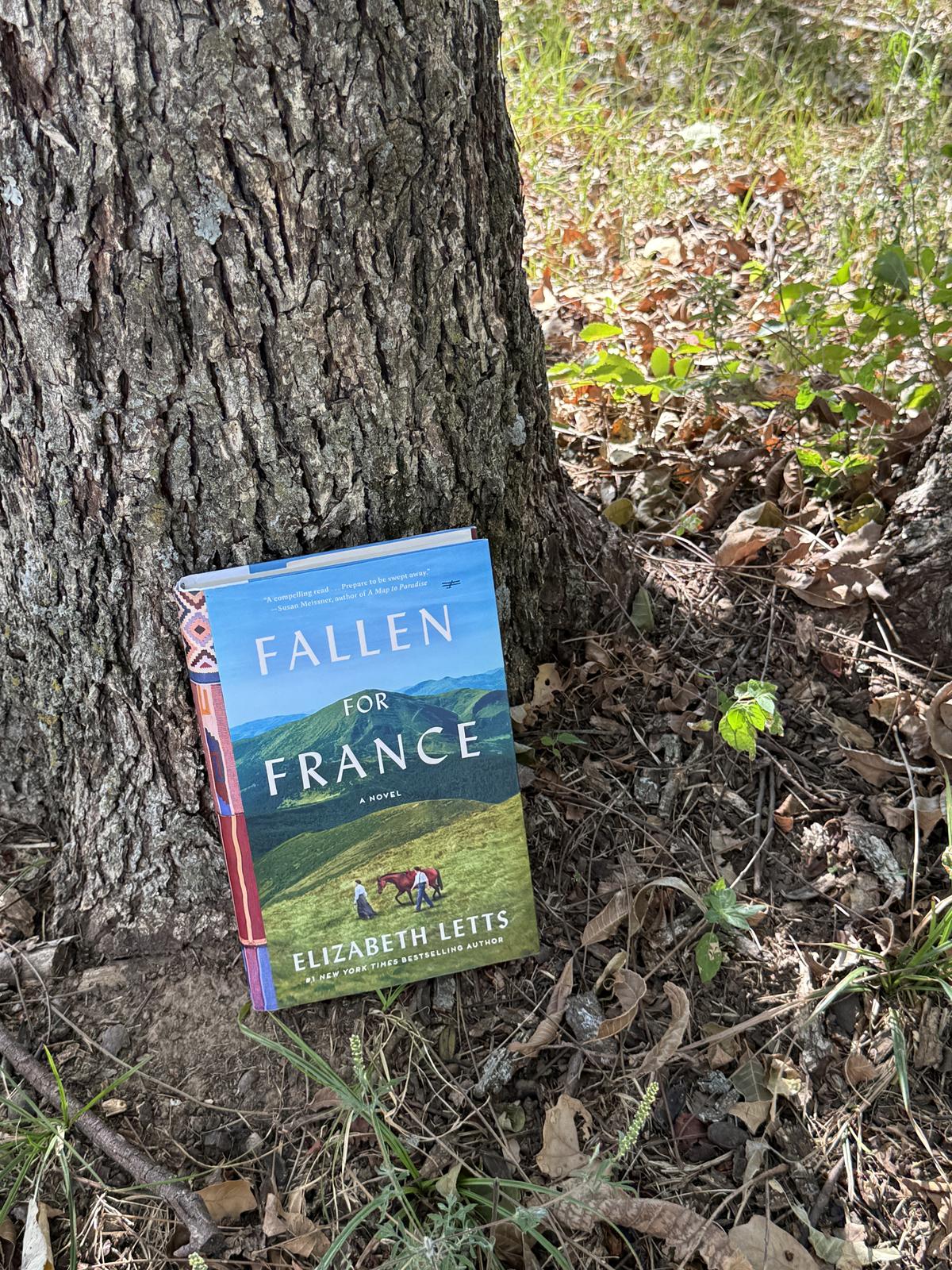 Fallen For France by Elizabeth Letts book outside
